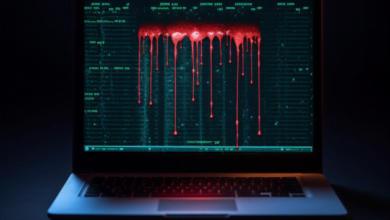 SQL Injection