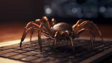 Web App