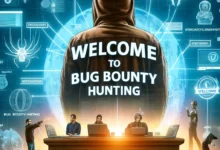 beginners-guide-to-bug-bounty-hunting-journey