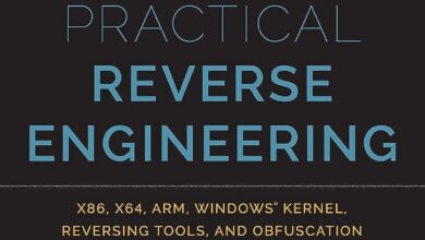 review-of-practical-reverse-engineering